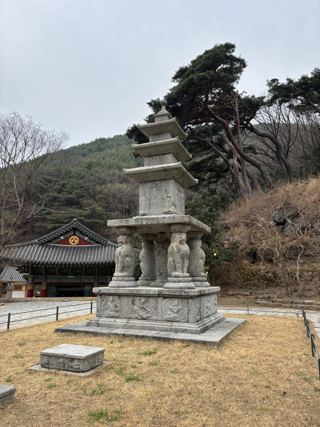 🇰🇷 여수 여행