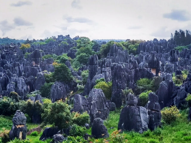 Nature’s masterpiece