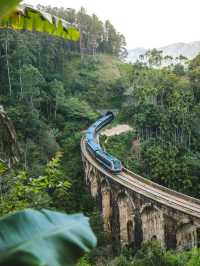 SpringWander For Srilanka 