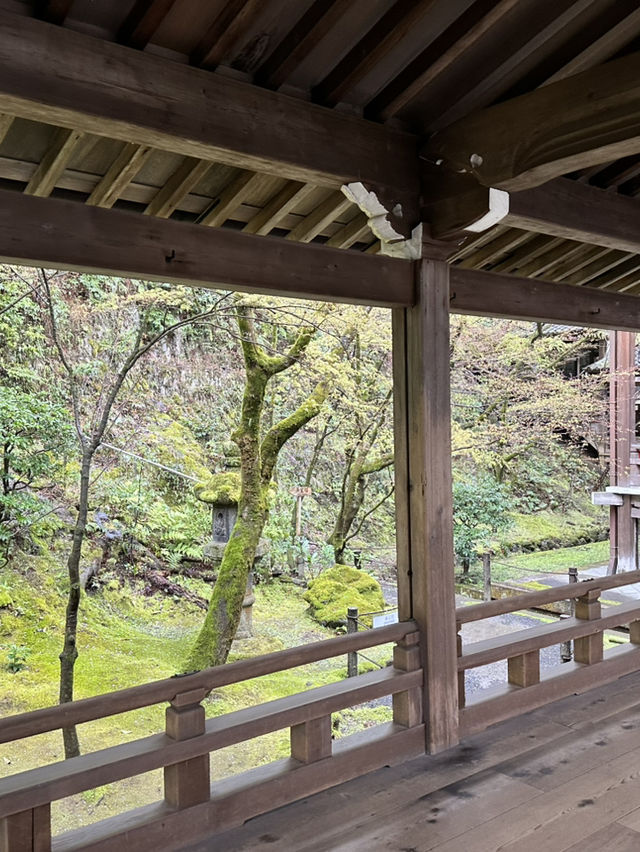 【京都×春旅】  風情ある景色、庭園、建築技術は素晴らしい