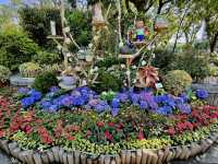 賞花及花伴野餐初體驗在大安森林公園