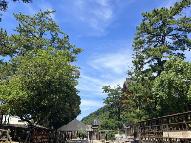 【神々のふるさと】出雲大社 ⛩🌿✨