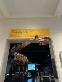 American Museum of Natural History