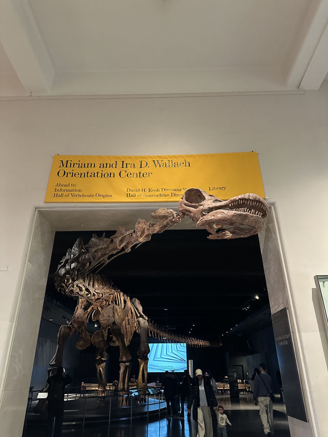 American Museum of Natural History