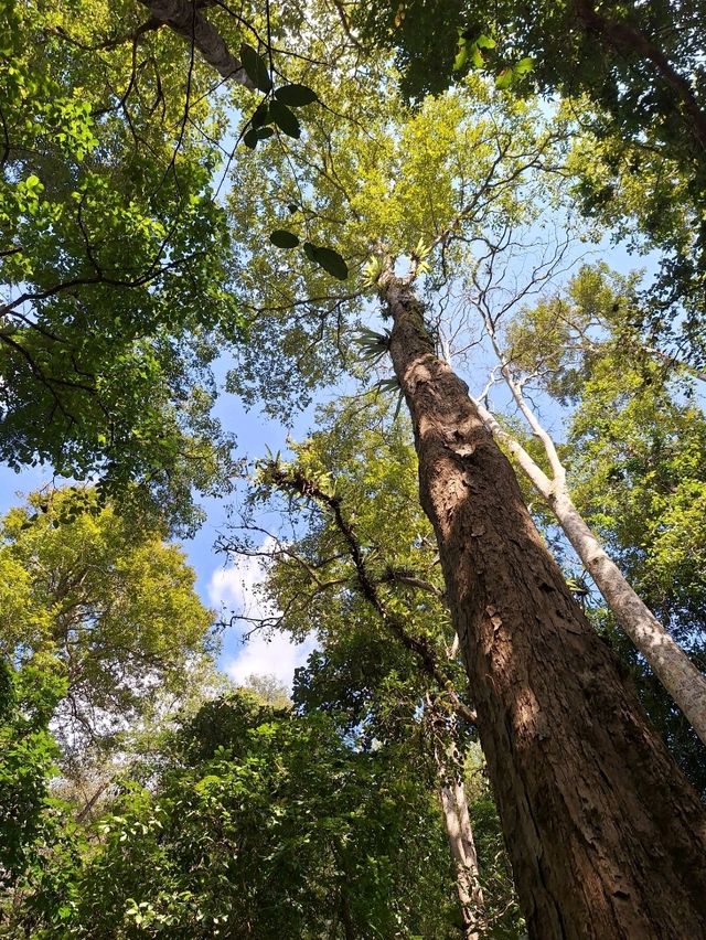 เยือนน้ำตกทีลอซู🏞สัมผัสความยิ่งใหญ่ของธรรมชาติ⛰️