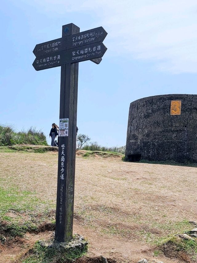 造訪擎天崗