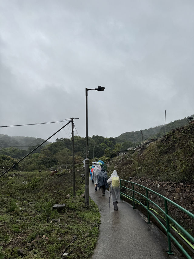合家歡行山路線！新手適合多補給🙂