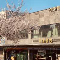 Springtime Serenity: Cherry Blossom Strolls in Mokcheok Park