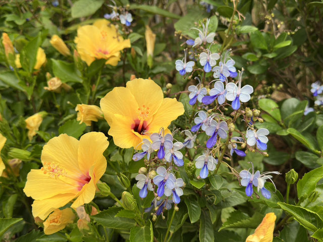 香港好去處 | 馬灣1868 | 打卡必去彩虹村莊