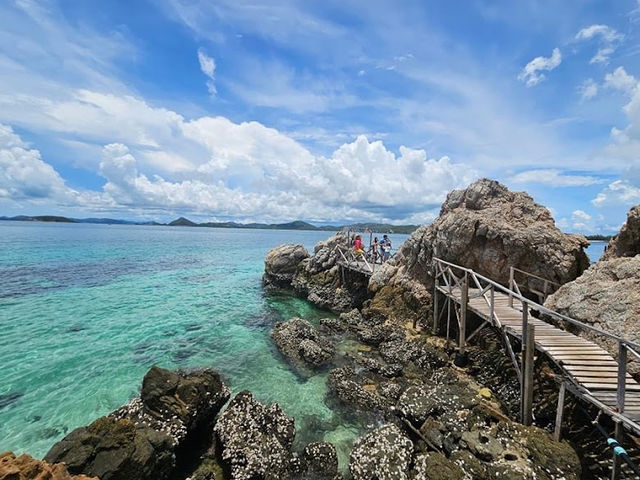 อุทยานใต้ทะเลเกาะขาม จังหวัดชลบุรี 