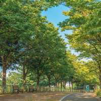 富陽自然生態公園·綠意世外桃源