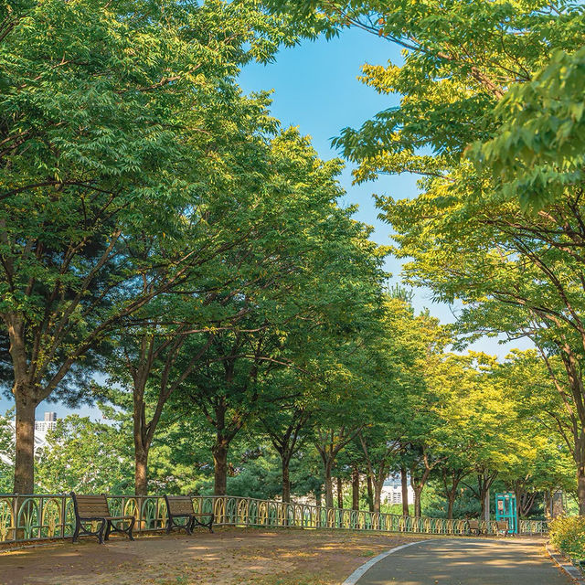 富陽自然生態公園·綠意世外桃源