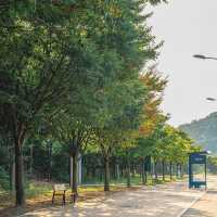 富陽自然生態公園·綠意世外桃源