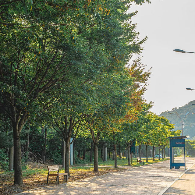 富陽自然生態公園·綠意世外桃源