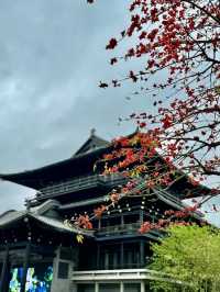 Guangzhou New Cultural Center– A Modern Hub of Lingnan Arts & Innovation