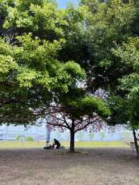 A Spring Stroll at Kyunakagawa Mizube Park