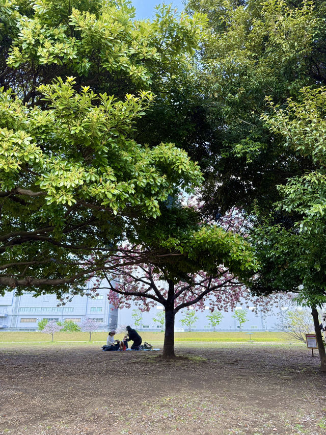 A Spring Stroll at Kyunakagawa Mizube Park