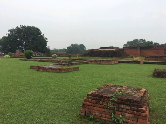 🇮🇳 世上第一所大學+祇園精舍