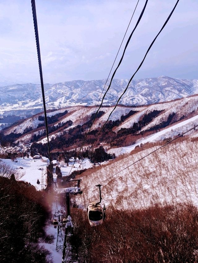 Slopes & Soaks: Chasing Snow and Steam in Nozawa