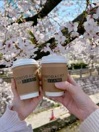 【福岡】満開の桜の下でもちもちドーナツ🌸