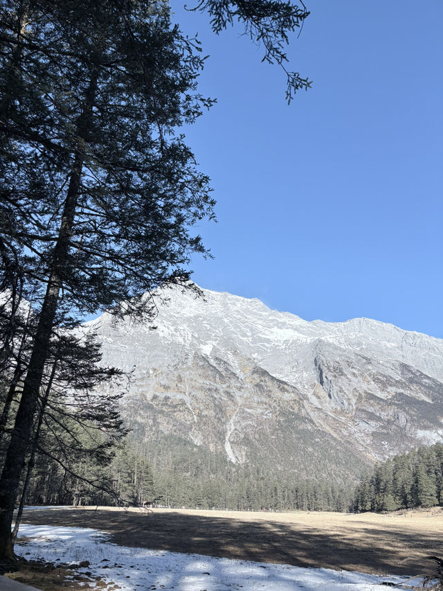 Altitude & Attitude: A First-Timer’s Guide to Yunnan’s Big Four