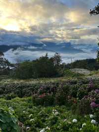 Between Heaven and Earth