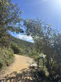 【Noosa National Park（ヌーサ国立公園）】
