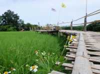 ขัวแตะ สะพานบุญไม้ไผ่วัดพระธาตุสันดอน ลำปาง