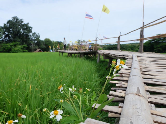 ขัวแตะ สะพานบุญไม้ไผ่วัดพระธาตุสันดอน ลำปาง