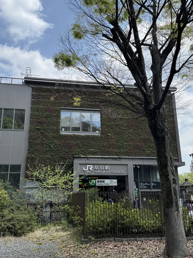 東京｜原宿站與明治神宮一日遊