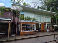 บ้านในหมง คาเฟ่ในป่า บรรยากาศสบายๆ