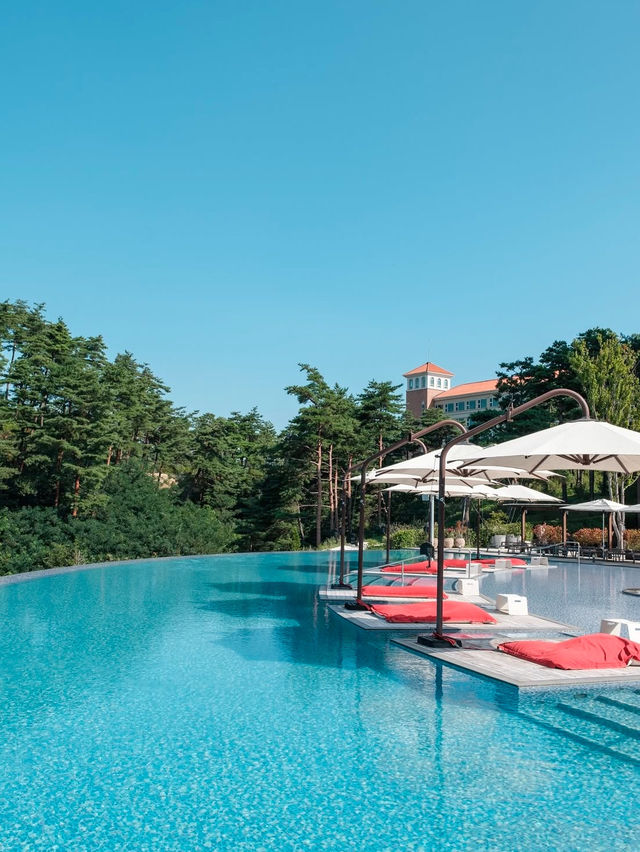 🏊 온수풀 럭셔리 호텔 양양 설해원, 국내 호캉스의 정석!