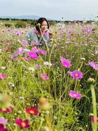 Picturesque Agricultural Theme Park
