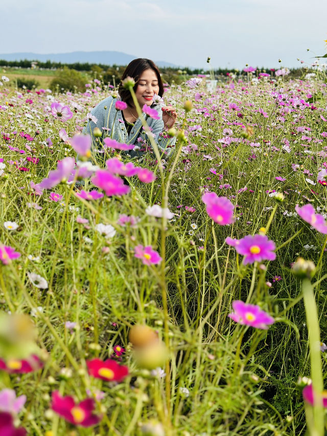 Picturesque Agricultural Theme Park