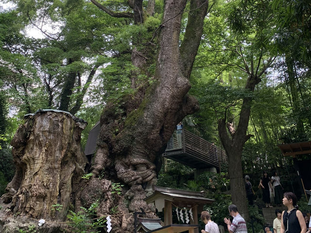 熱海にある神聖な神社が素敵すぎた