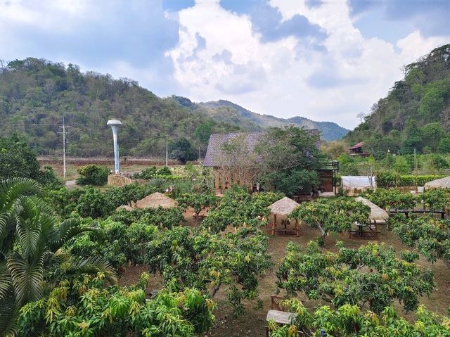 BAANKHAOFAE บ้านข้าวเฟ่