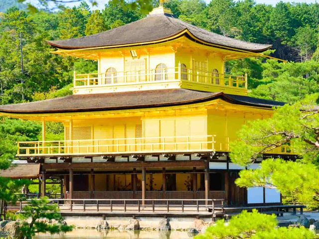 国内旅行攻略｜四季折々の絶景と文化を満喫する旅