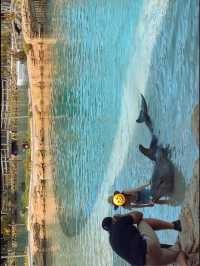 드x월드, 무x월드 보다 여기 SEAWORLD 🐬💫