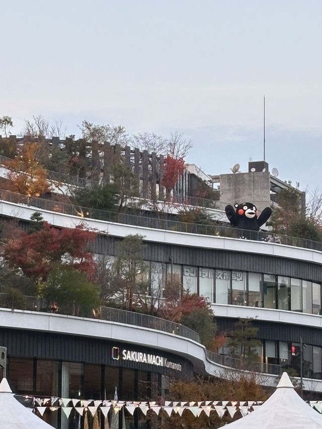 熊本旅１泊２日♡くまモンにいっぱい
