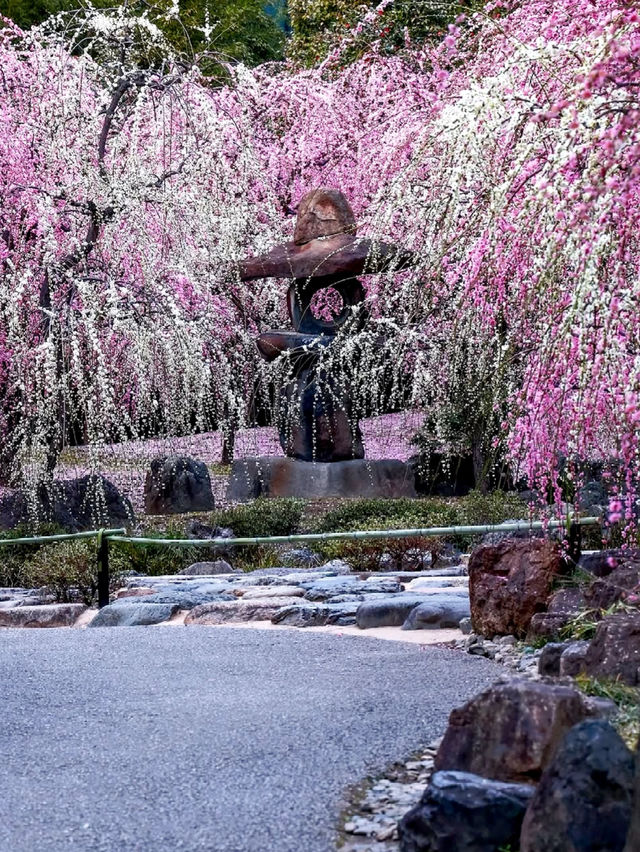 Jonangu Shrine: The Hidden Aesthetic of Kyoto's Southern District 🏯