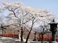 🌿 Kurama-dera: Kyoto’s Mountain Temple of Spirits & Fire 🌿