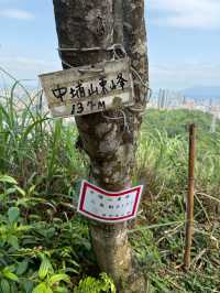 最親近台北的森林步道～富陽及黎和自然生態公園走走
