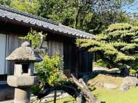 Surreal enchanted Sengan-En Japanese Gardens, Kagoshima 