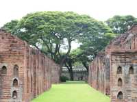 Caught in a monkey —only in Lopburi