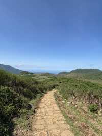 風從草原來——陽明山擎天崗的緩步與遠望