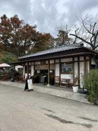 🏯 조죠지(Zojoji Temple) – 도쿄 도심 속 고요한 시간 여행