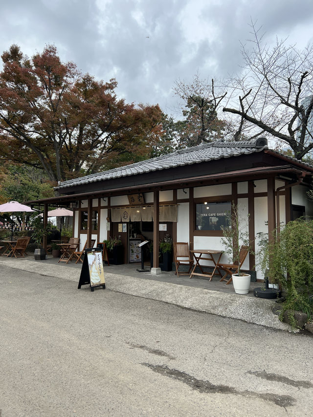 🏯 조죠지(Zojoji Temple) – 도쿄 도심 속 고요한 시간 여행