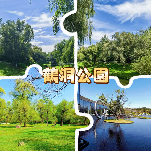 鶴洞公園•城市綠色秘境