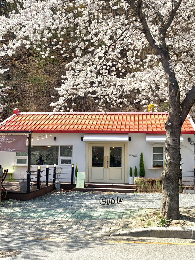 봄이 제일 예쁜 병산저수지테마길❤️