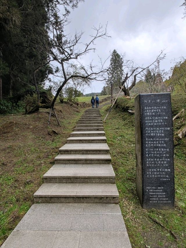 # 阿里山國家森林遊樂區-嘉義縣阿里山鄉